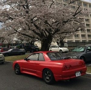 Meet your Posher, Stephen